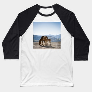 Foal and Mare Baseball T-Shirt